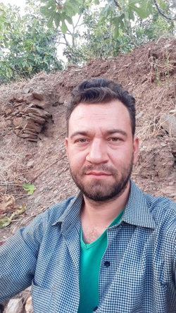 Aydın