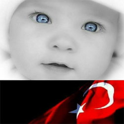 Bulut