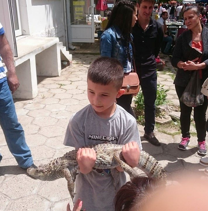 Süleyman