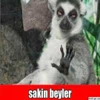 Bayram