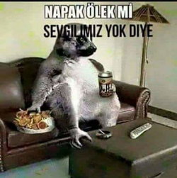 Soner