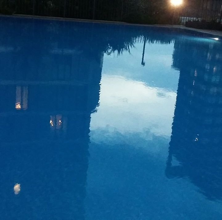 Gül