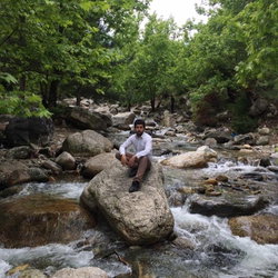 Servet