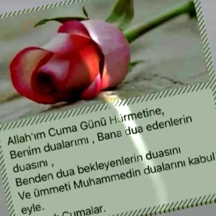Aras