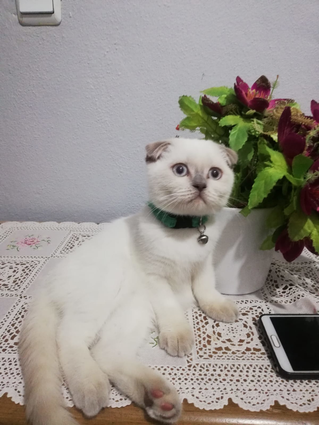 Mert
