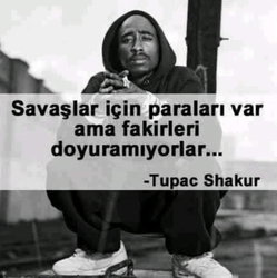 Bulut