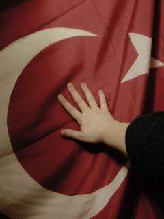 Mücahit