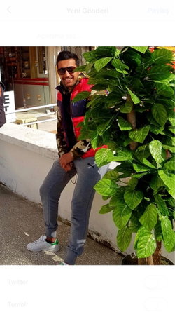 Samet