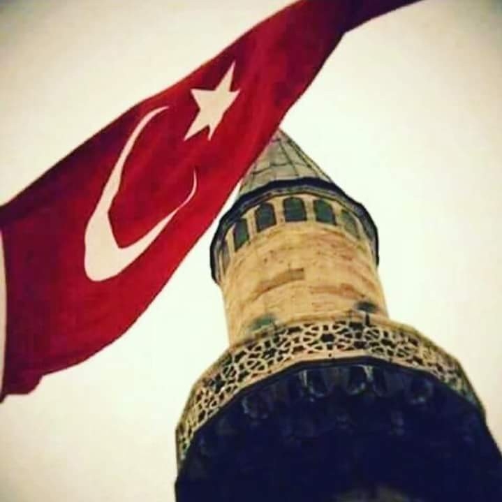 Ali
