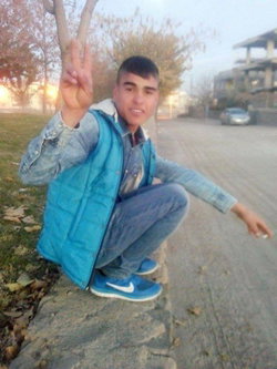 Taylan