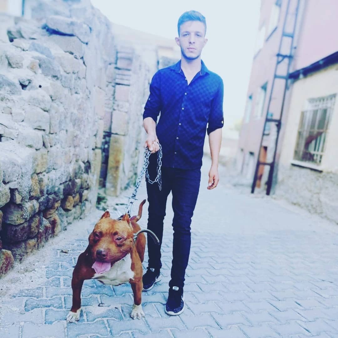 Orhan