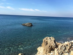Bedir