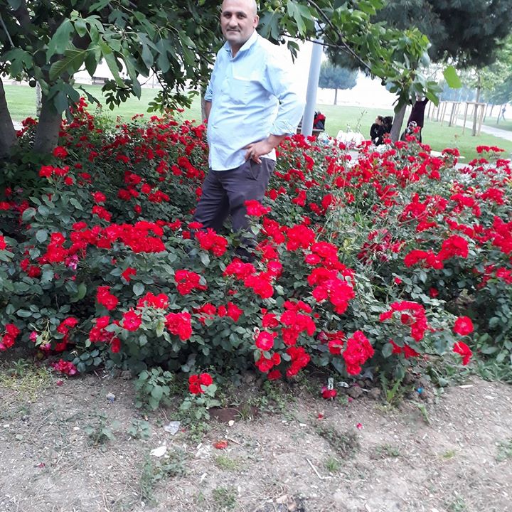 Erol