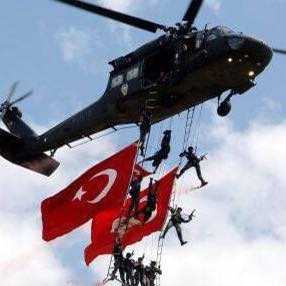 Doğan