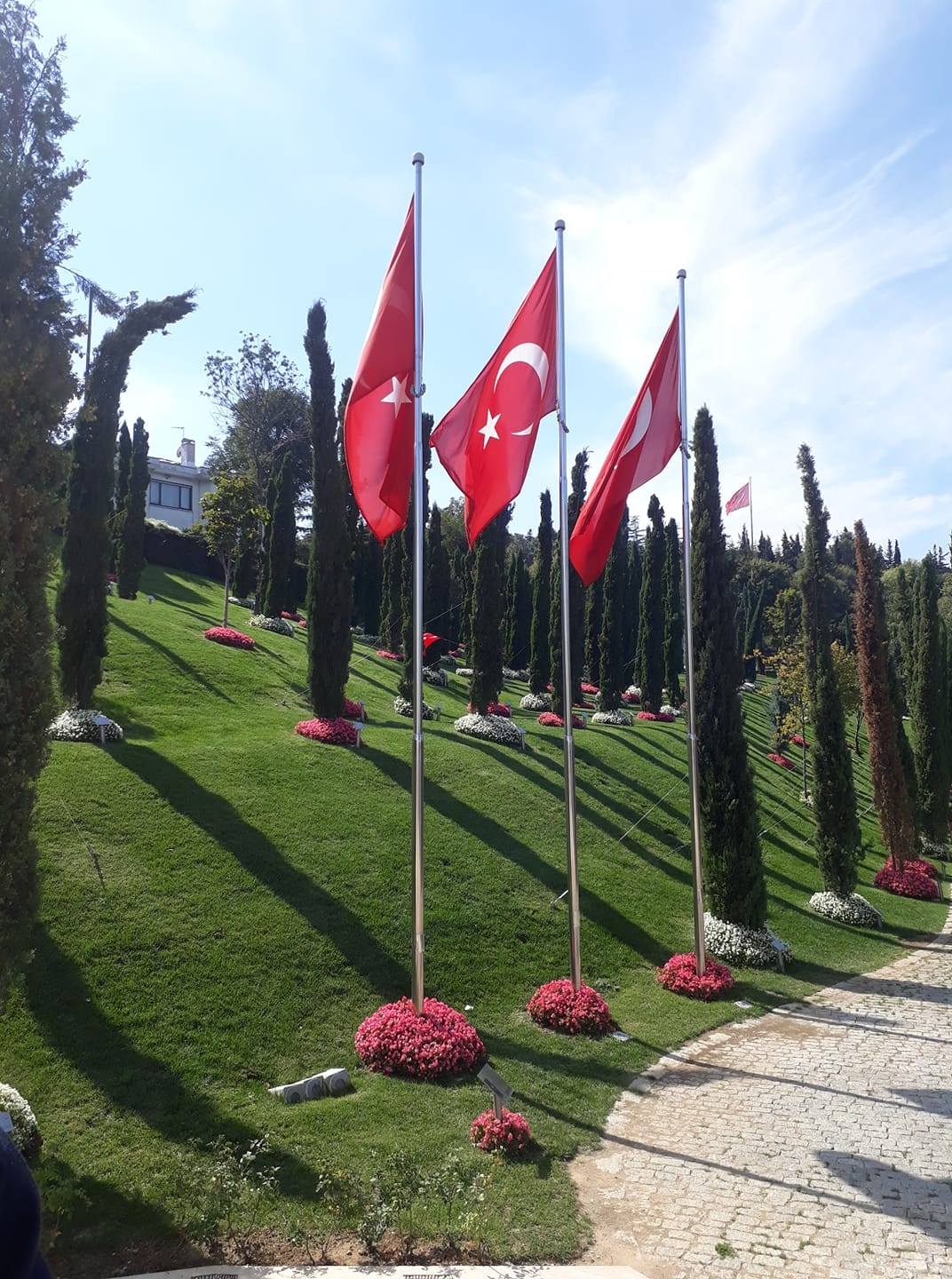 Mustafa