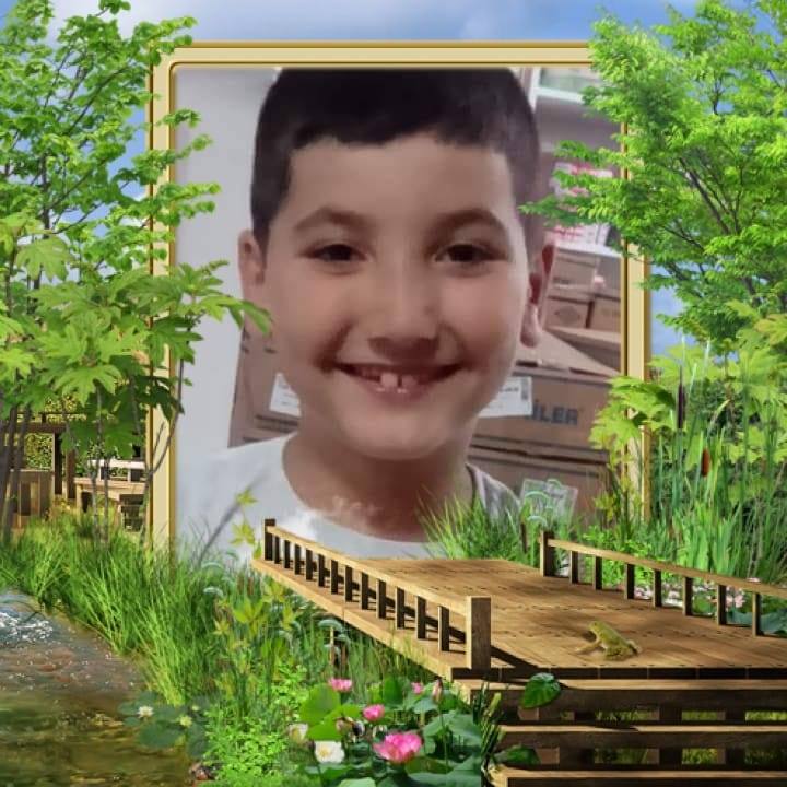 Şahin