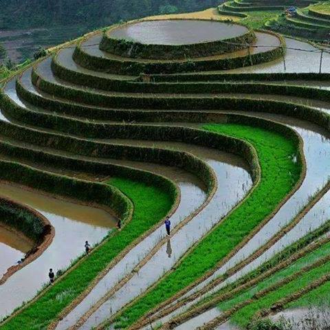 Chinwatakweaku