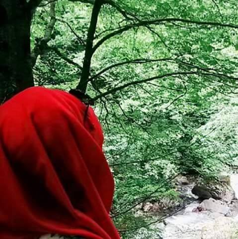 Mürvet