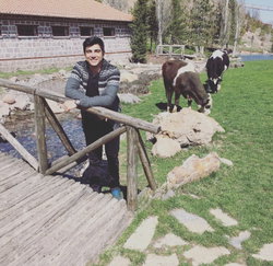 Murat