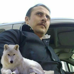 Mustafa