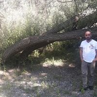 Cihan