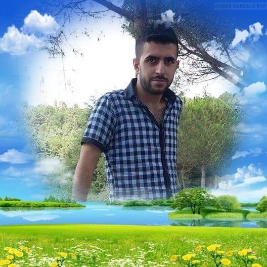 Şevket