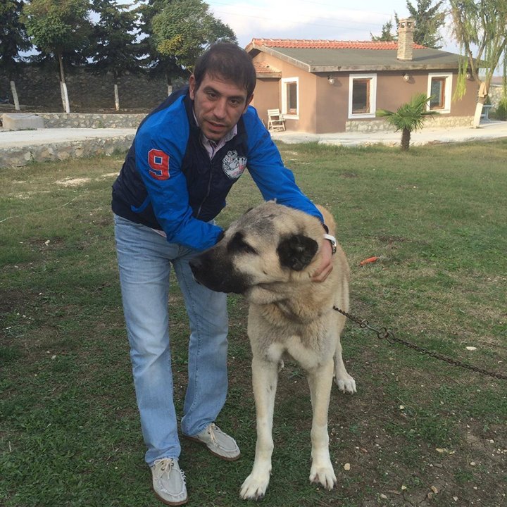 Mustafa