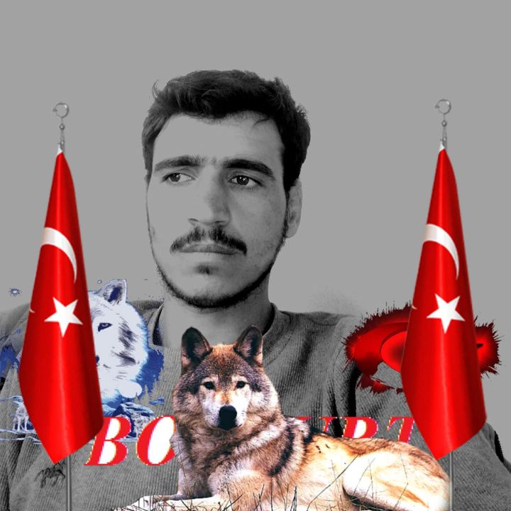 Doğan