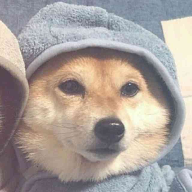 Jussara