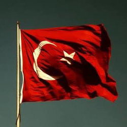 Can
