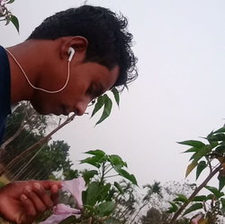 Alok