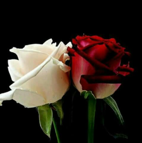 Mukesh