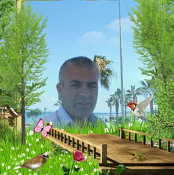 Tahsin
