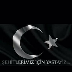 Şahin
