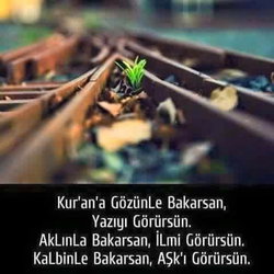 Yunus