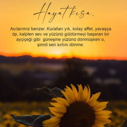 Aslı
