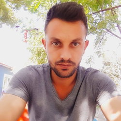 Şahin
