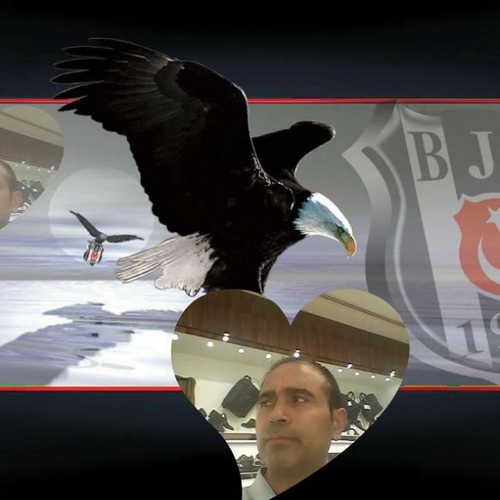 Halil