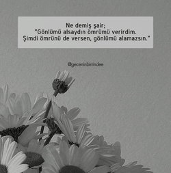 Gül