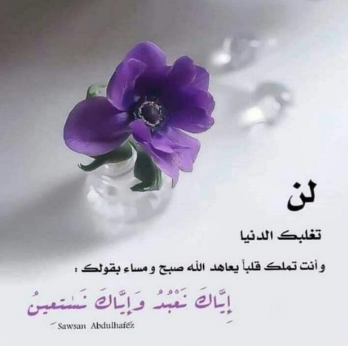 عبود
