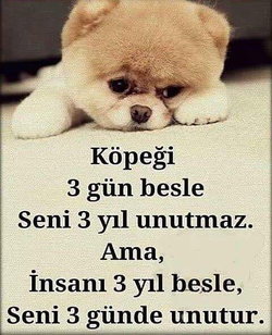 Serkan