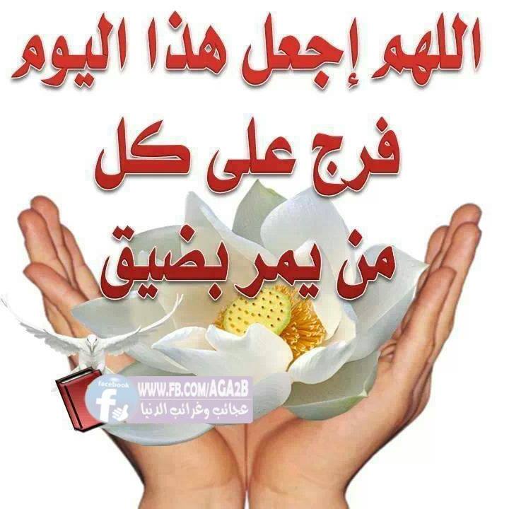 محمدأمين
