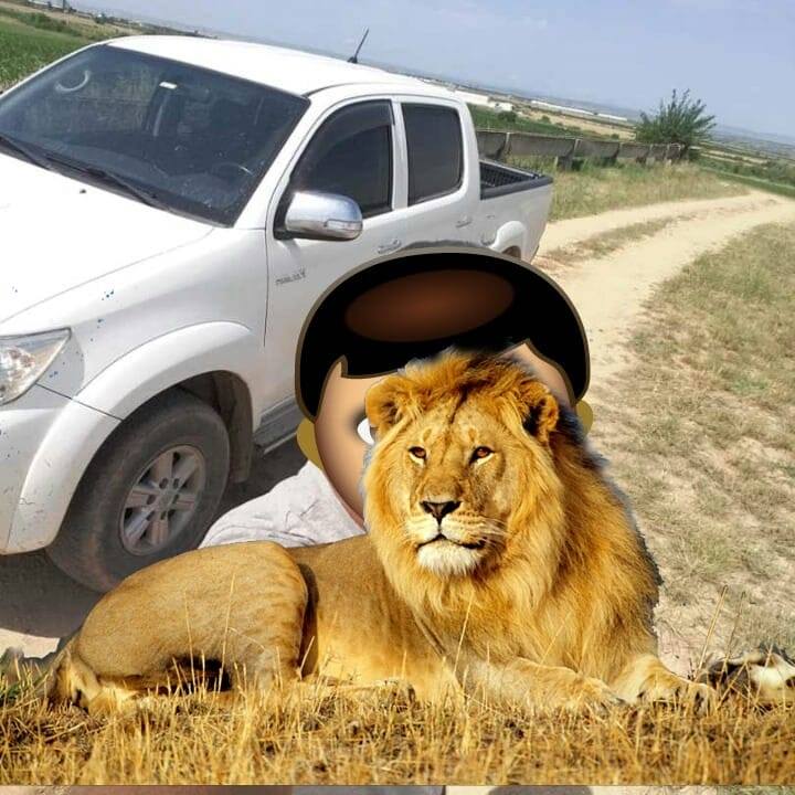 مروان