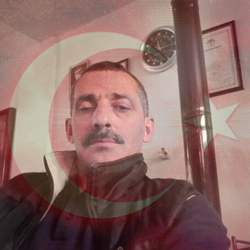 Halit