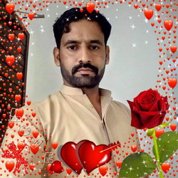 Wajid
