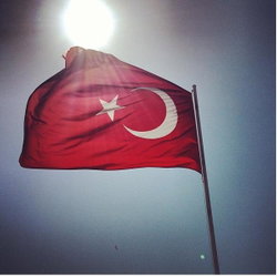 Tolga