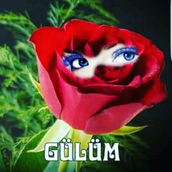 Bircan