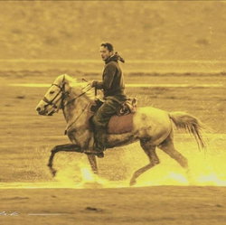 Soner