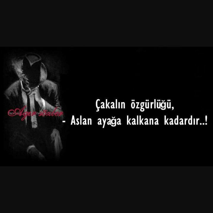 Ferman