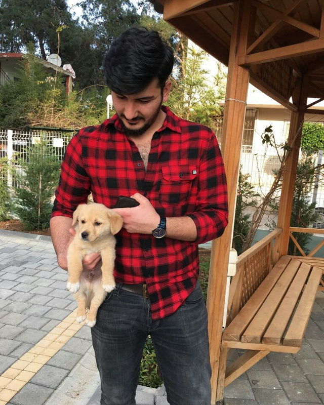 Özgür
